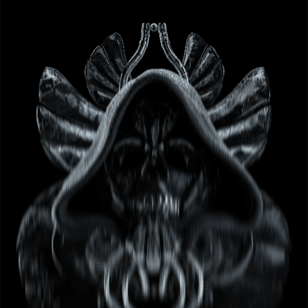 Portfolio Hover Featured Image