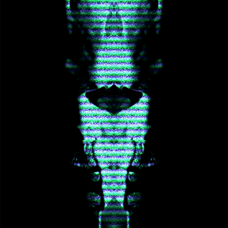 Portfolio Hover Featured Image